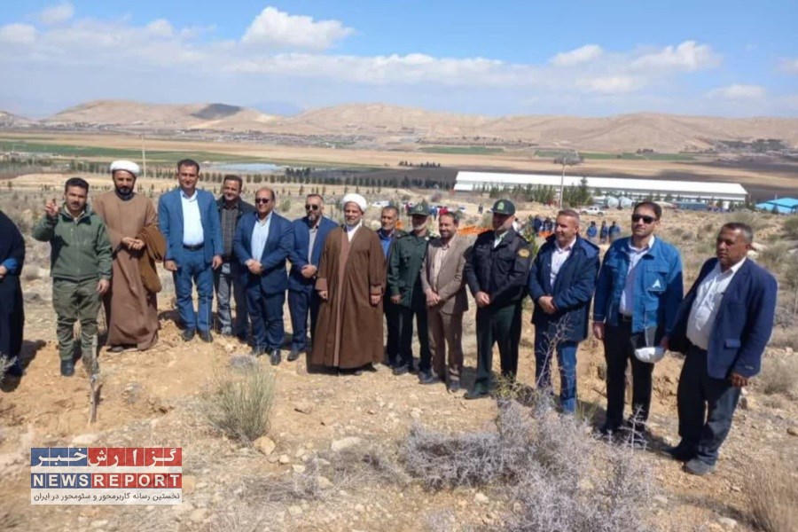 کاشت و آبیاری 500 اصله درخت در شهرستان بیضاء