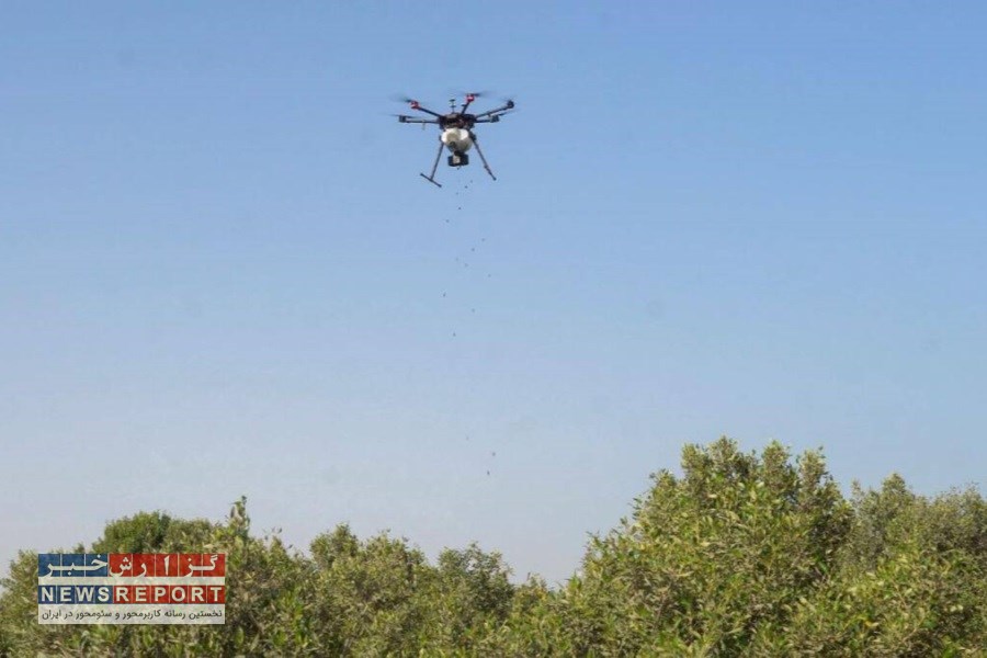 لزوم استفاده از هوش مصنوعی و پهبادها برای حفاظت از جنگل‌های کشور