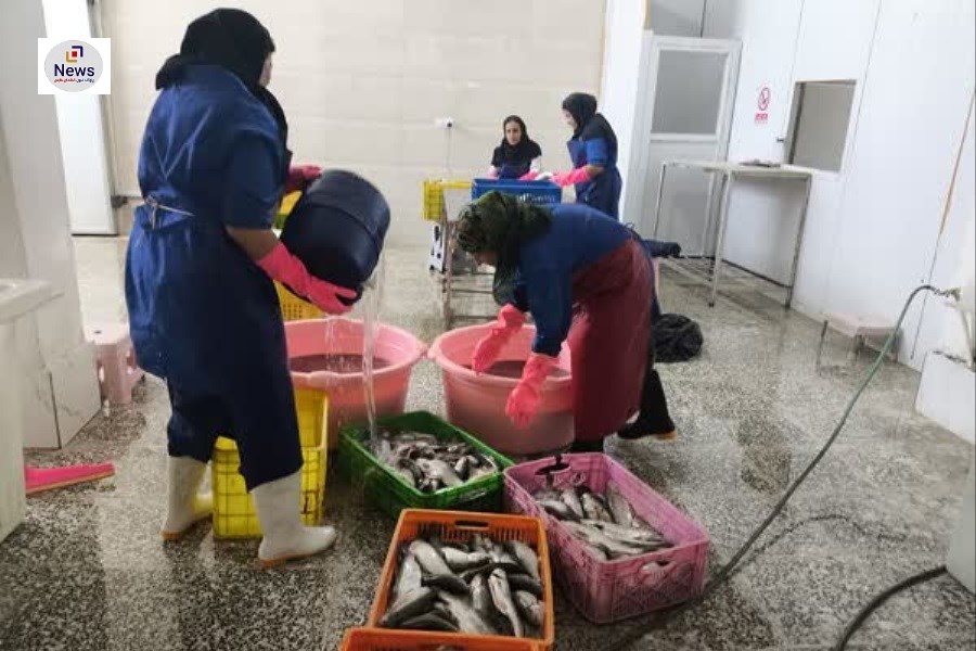 بهره‌برداری از یک واحد فرآوری و بسته‌بندی آبزیان در بیضا