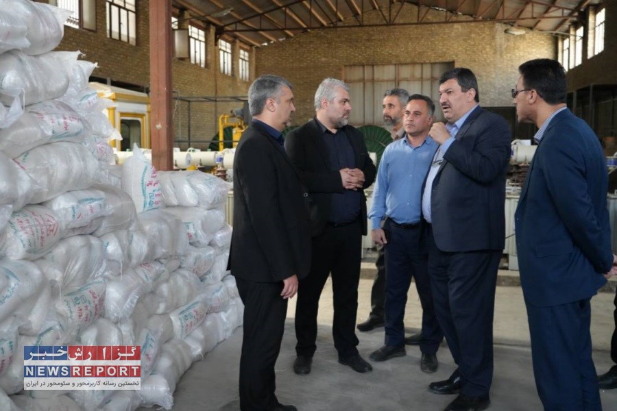 مدیرعامل شرکت توزیع نیروی برق استان تهران از زیرساخت های کلیدی شهرستان ری بازدید کرد