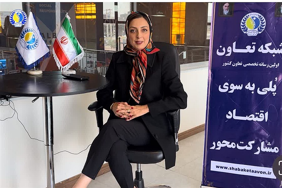 هشدار مدیرعامل «سازان سنگ‌سالار»: اصلاح عناوین شغلی، نابودکننده صنایع قدیمی است