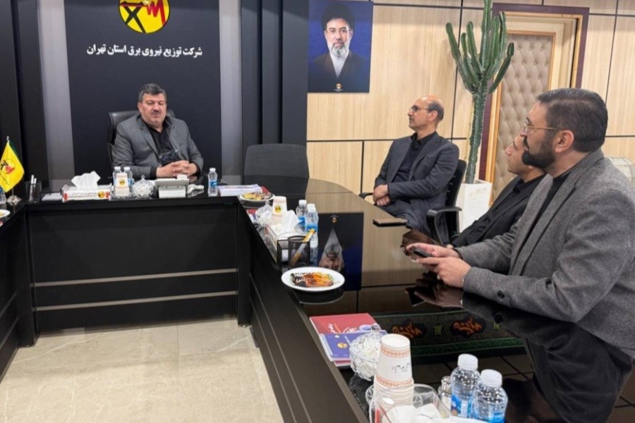 قدردانی مشاور وزیر نیرو از رشادت ها و فداکاری های کارکنان شرکت توزیع برق استان تهران