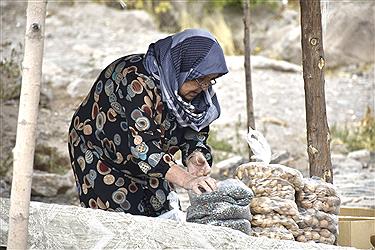 تصویر بهاری زیبا ودلنشین در روستای میمند کرمان