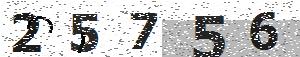 تصویر امنیتی