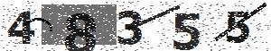 تصویر امنیتی