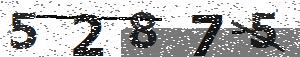 تصویر امنیتی