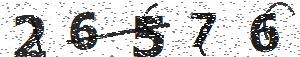 تصویر امنیتی