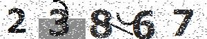 تصویر امنیتی