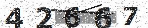 تصویر امنیتی