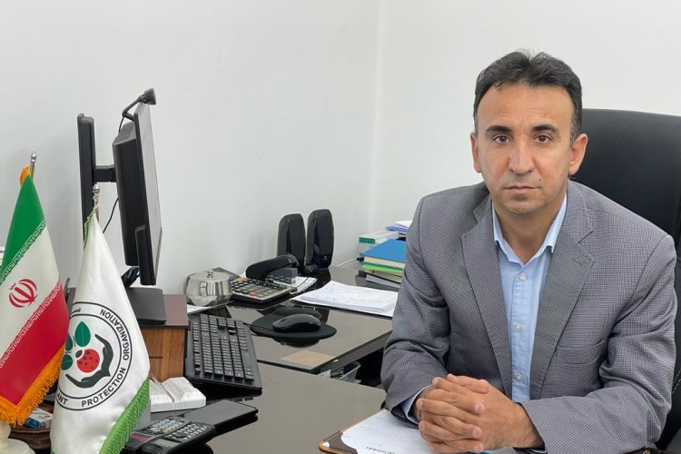 آغاز مبارزه با ملخ مراکشی در استان فارس