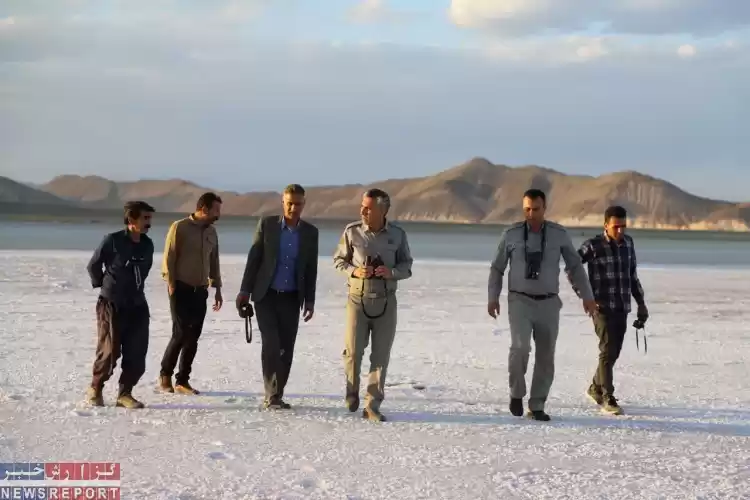 احتمال بازگشت فلامینگوها با افزایش سطح آب تالاب بختگان